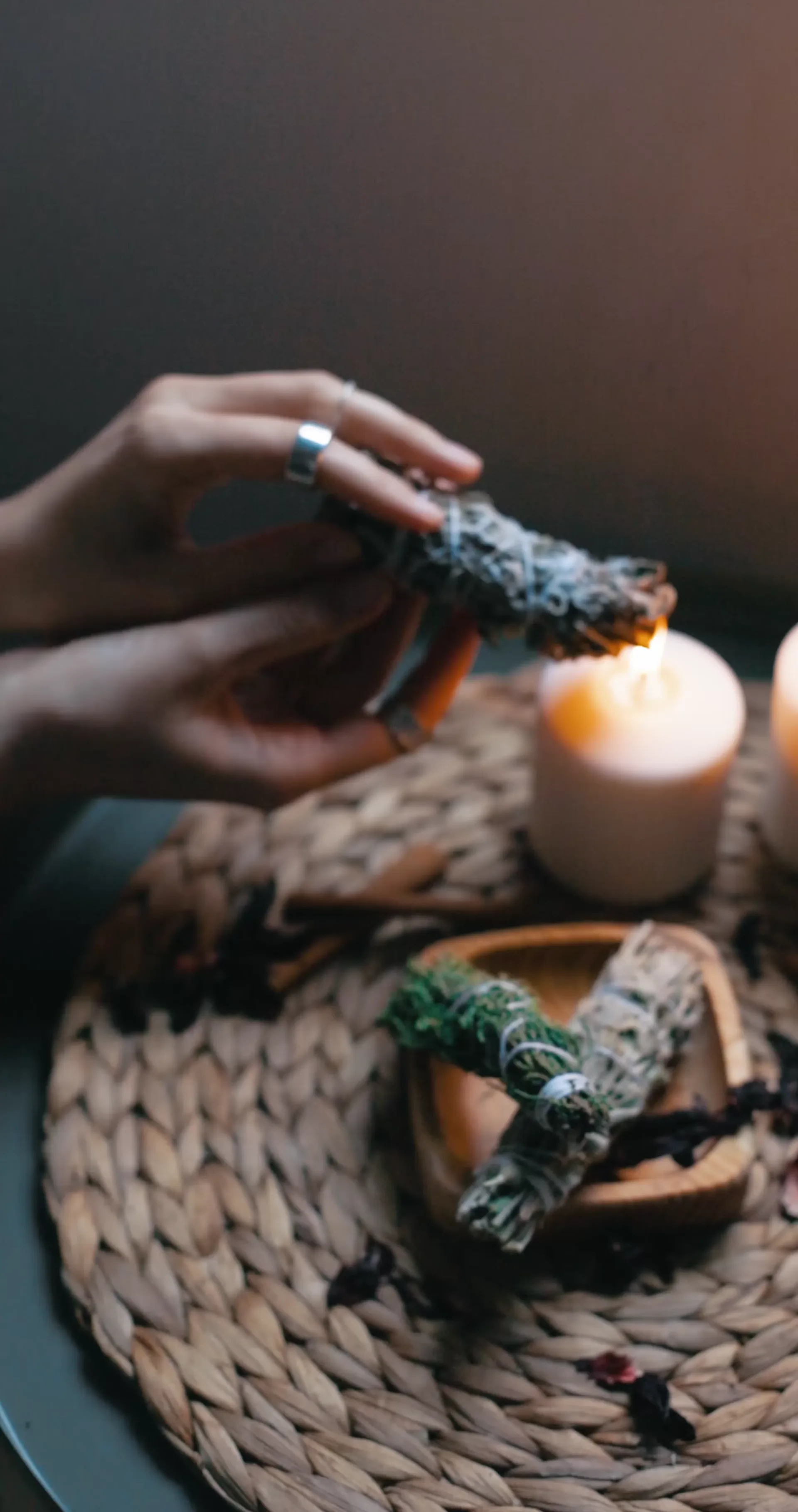 The Forest Ritual, shamanic plant ceremony at Sereniss in Brussels