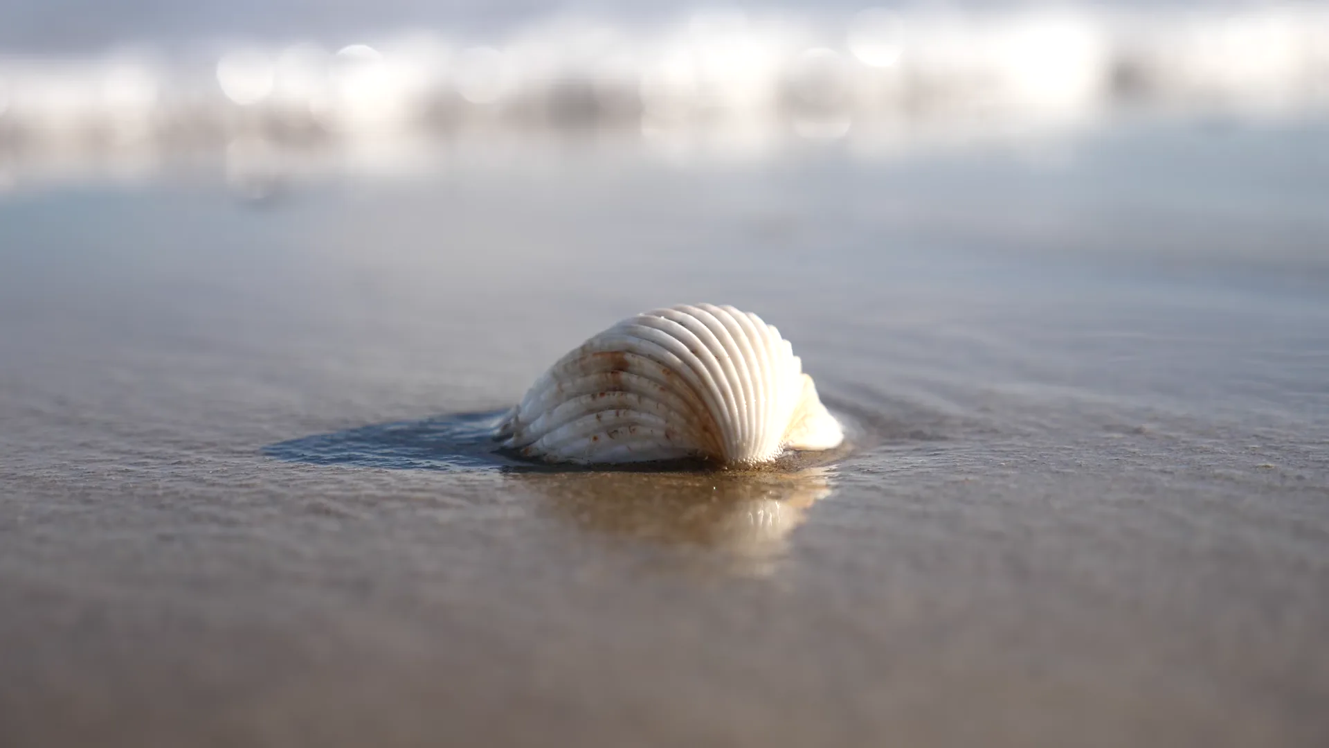 Le Rituel de la Mer, soin marin reminéralisant chez Sereniss à Bruxelles