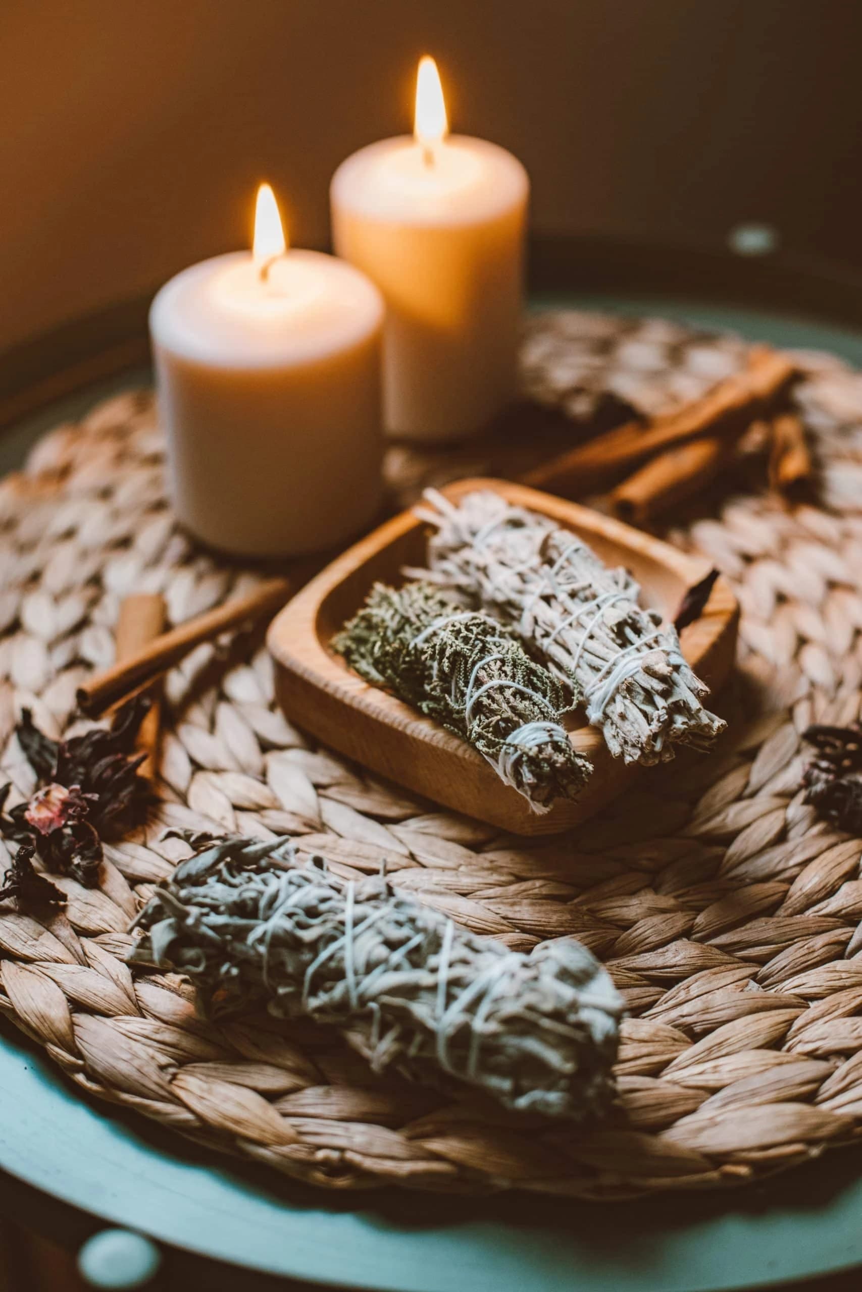 Le Rituel de la Forêt